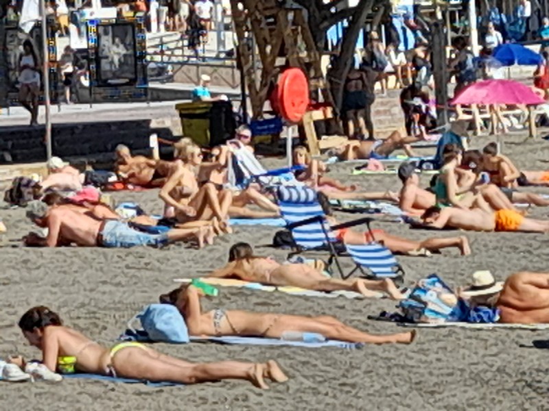 Solig vinter Teneriffa